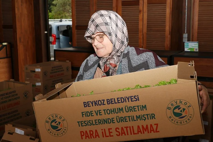 beykoz tarim 2 kLUq N1j