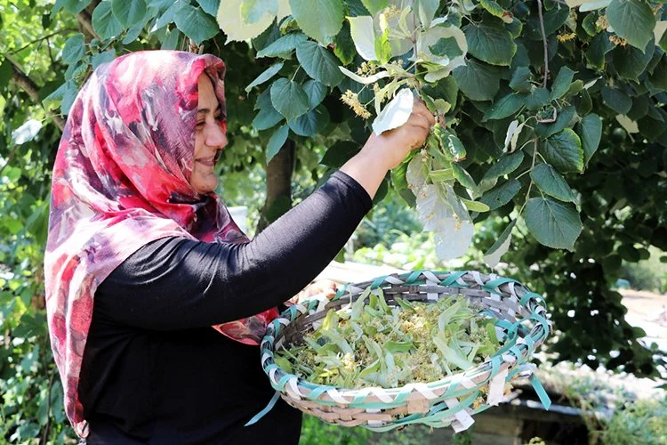 beykoz tarim 5 uW6UtIPC K