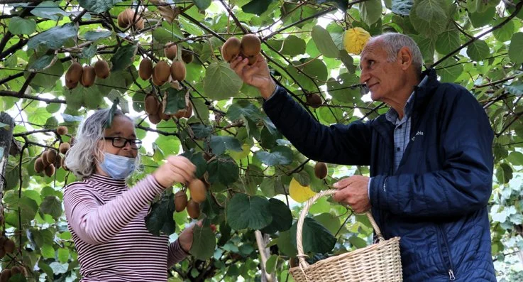 5 Yılda 5 Yıllık Hizmet düşüncesiyle hareket eden Beykoz Belediyesi'nin