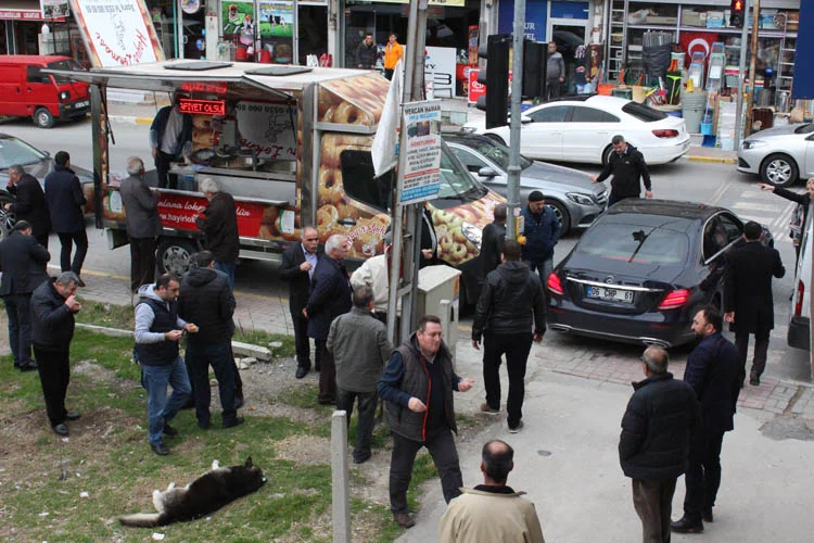 beykoz av haluk peksen 8 DW25LJbzAZ