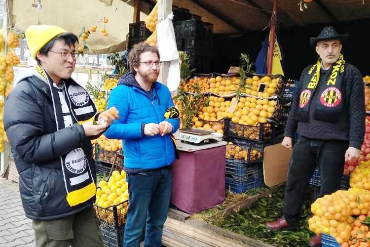 Beykoz için bu güne kadar değişik kurum ve kuruluşlar tarafından