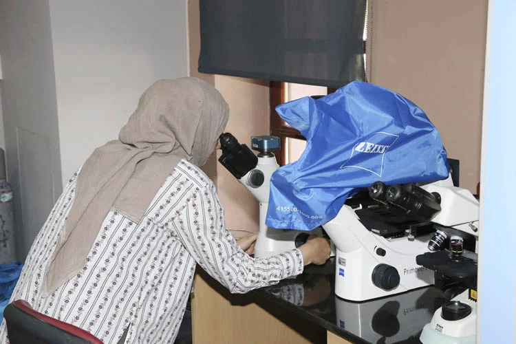 Beykoz, bilimsel araştırmalara yuva oluyor 1 beykoz bilimsel arastirmalara yuva oluyor 1 lQSBBoWgiI