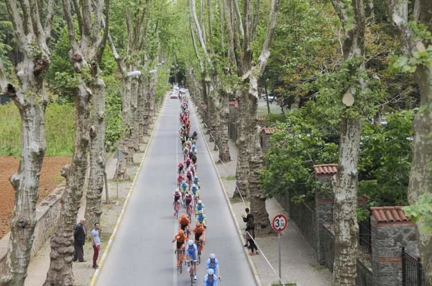 beykoz bisilet yo AaQX6O78BE