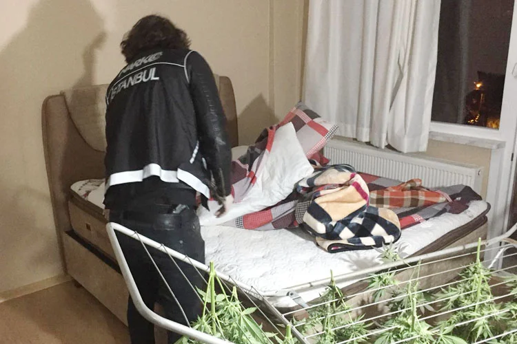 Beykoz’un Akbaba Mahallesi’nde bir villaya gerçekleştirilen operasyonda 100 kilo hint