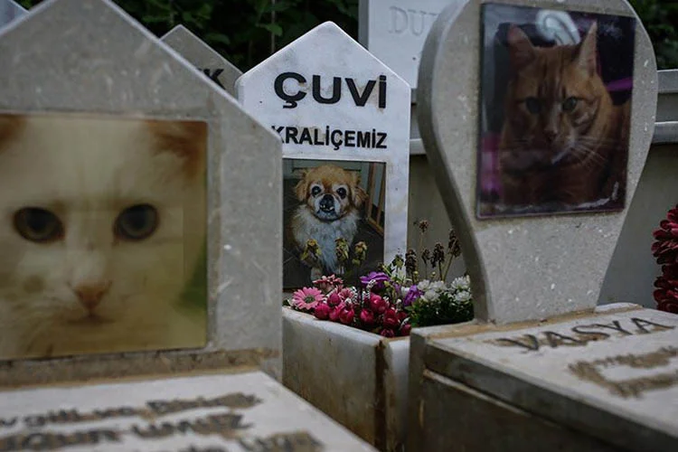 Beykoz'daki bir köpek eğitim merkezinin bahçesi, hayvanseverlerin vefat eden hayvanlarını