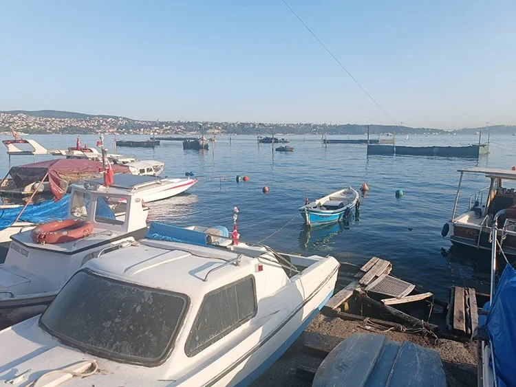 beykoz dalyan 1 iZKAplFu1k