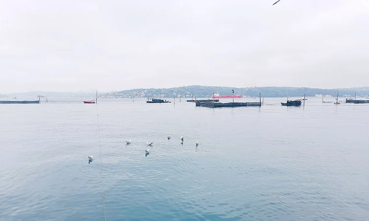 beykoz dalyan 4 MQ tb54Bct