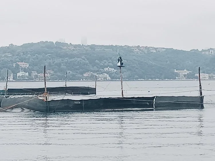 beykoz dalyan 5 0CQ4PUSoMu