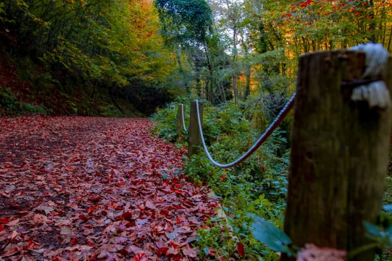 Birbirinden güzel ve sakin köşeleriyle şehrin en huzurlu adreslerine ev