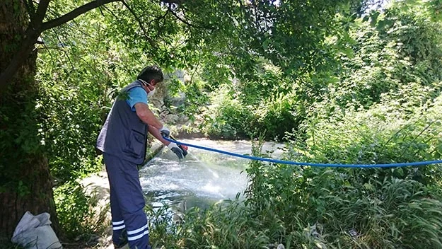 beykoz hase O4kH4gSZJt