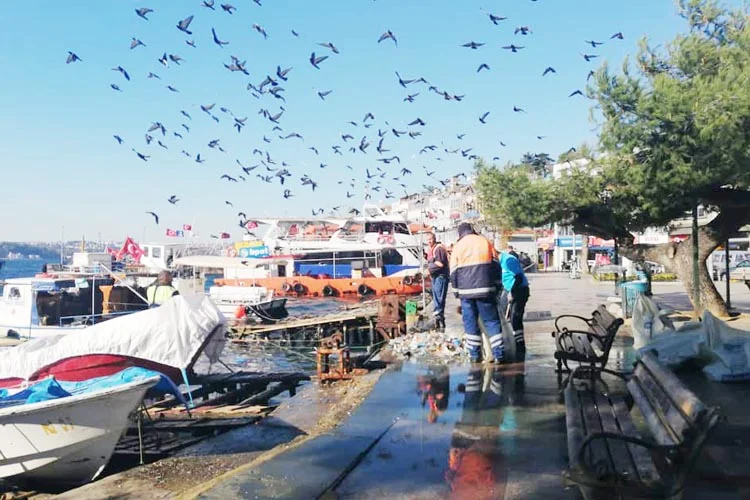 Beykozluların vicdanına havale ediyorum 2