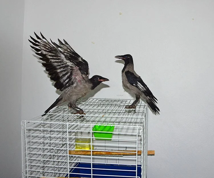 beykoz kar 9QAPe3uSO