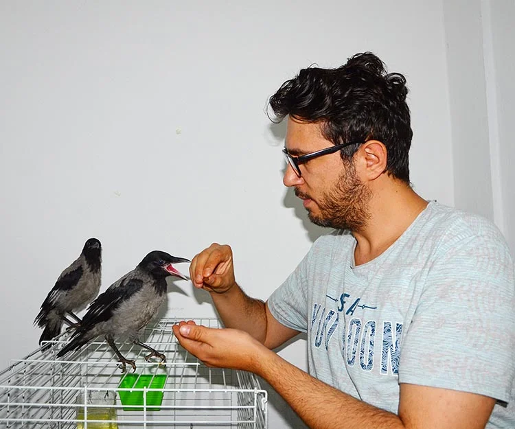 beykoz karga 5 2k2ieT 19v