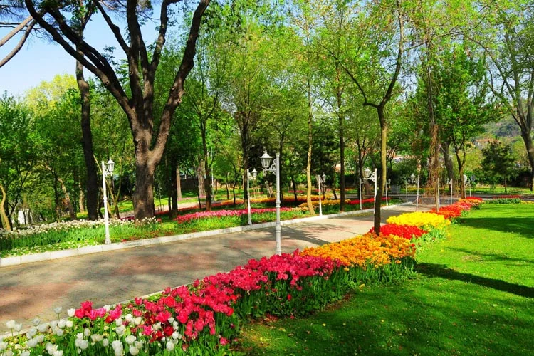 Takvim gazetesi yazarı İsmail Çağlar, İBB'nin yeni Başkanı'ndan Beykoz Korusu'nun