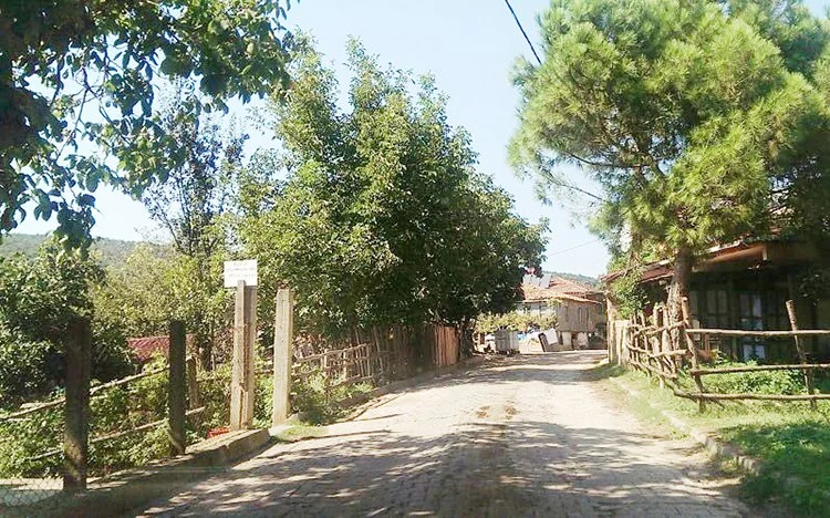 beykoz koy 2 dzOouar28D