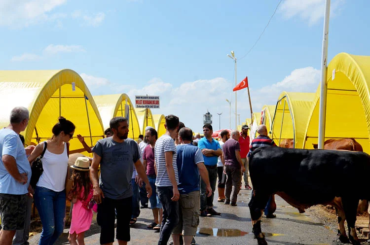 beykoz kurban hareket d9u0Jz1Kgr