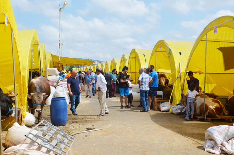 beykoz kurban hareket gDN8Xne7p