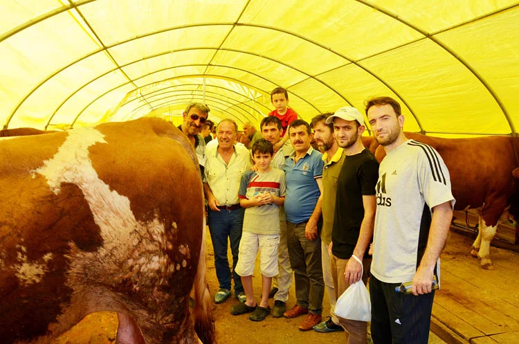 beykoz kurban hareketi ByMXajVC7H