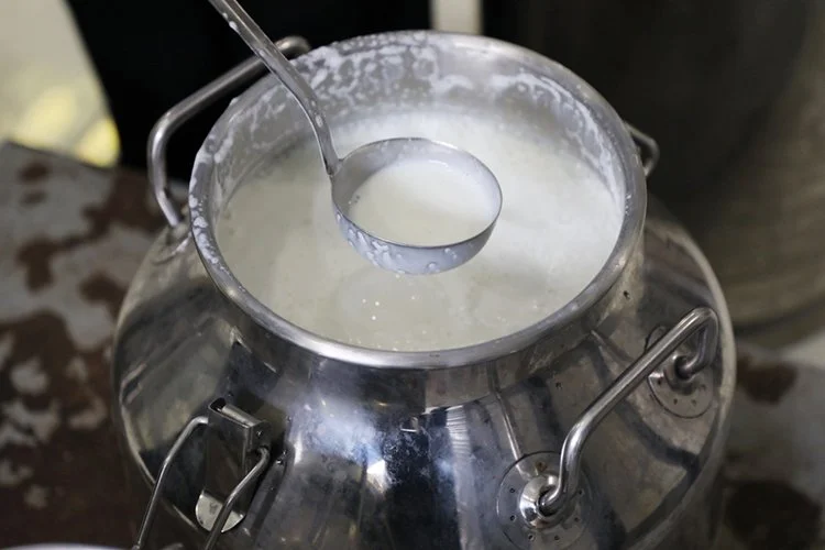 beykoz lezzet 7 2pWgy0h7Th