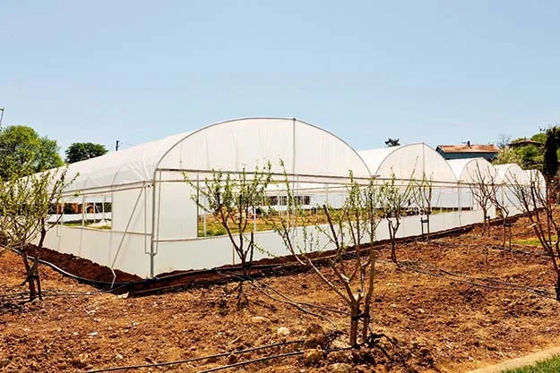 Beykoz Kaymakamı Ahmet Katırcı ve Başkan Çelikbilek, Paşamandıra'da yapılan ve