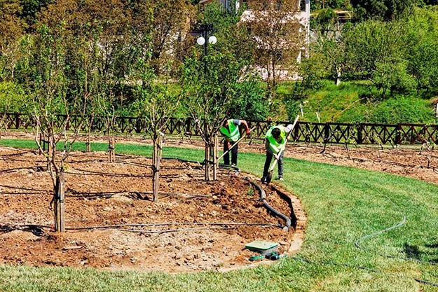 beykoz meyve bahce 11 GOrUumt90D