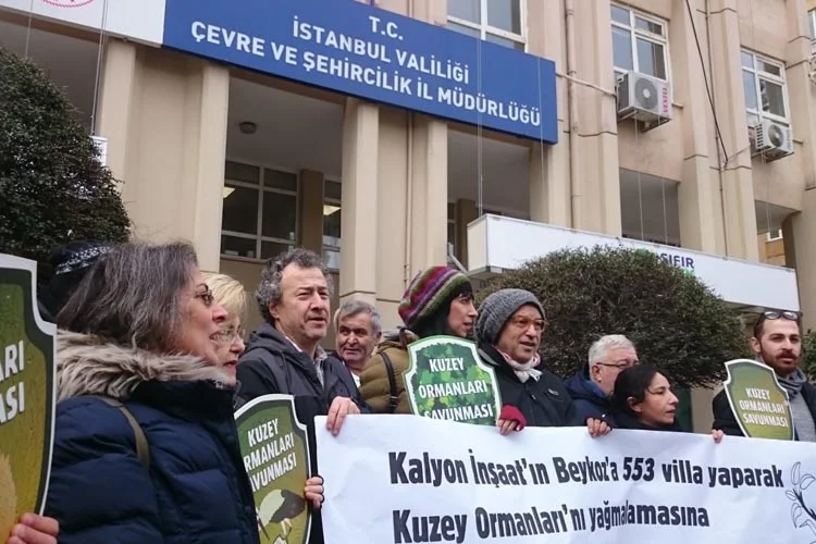 beykoz orman 2 3Tu12dMJZ9