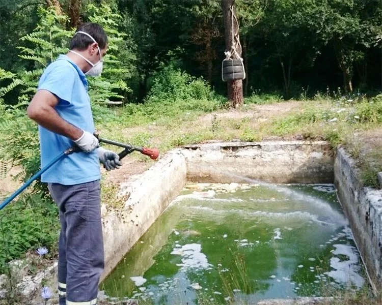 beykoz sinek mucad qpvmNvewoF