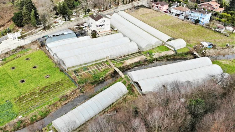 Çin ve Avrupa’dan Beykoz’a getirilen tohumlarla tarım 4 beykoz tarim 6 9pSpCs zDQ