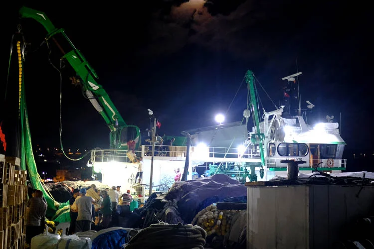 Beykozlu balıkçılar, av yasağının sona ermesinin ardından Poyrazköy Limanında denize