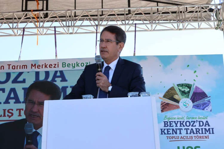 Beykoz'a yılda 1 milyon fide dağıtılacak 5 beykozacdb4 30RkVgpEHe