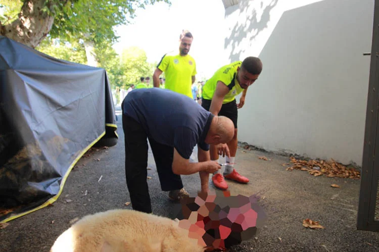 Beykoz 1908 antrenman öncesi kurban kesti 2 beykozantdb3 InDIVSUb4b