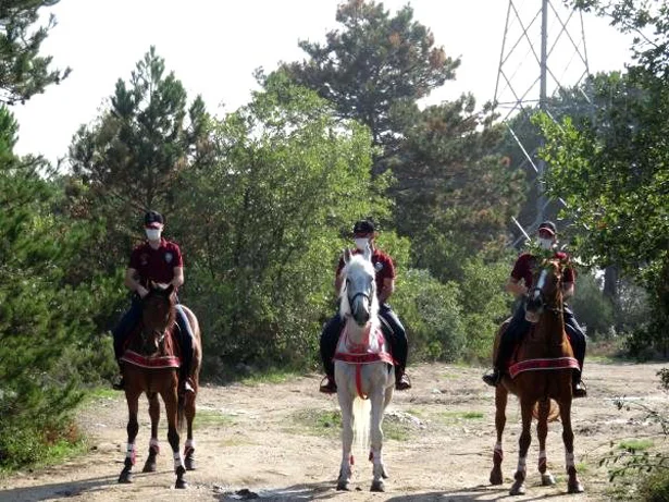 Son zamanlarda Beykoz'da çıkan orman yangınları sonrası emniyet güçleri bölgedeki