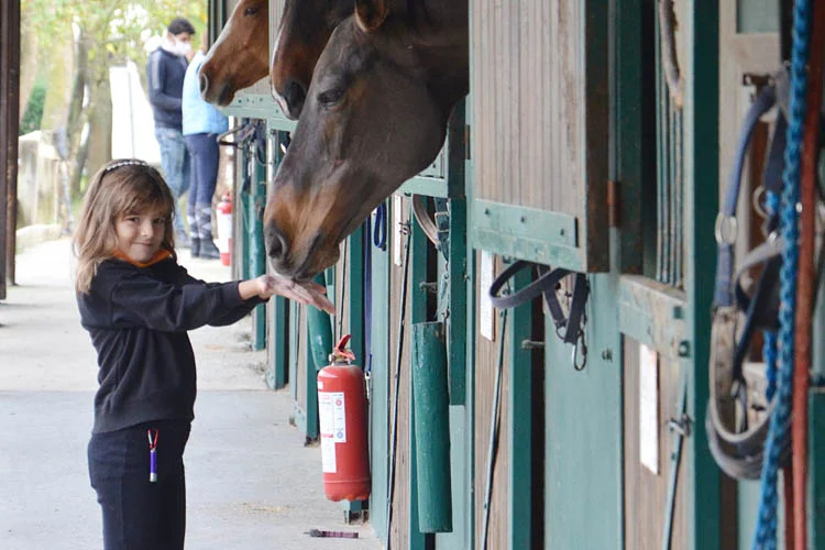 Beykoz Belediyesi'nin düzenlediği etkinlikle, 3 Aralık Dünya Engelliler Günü için