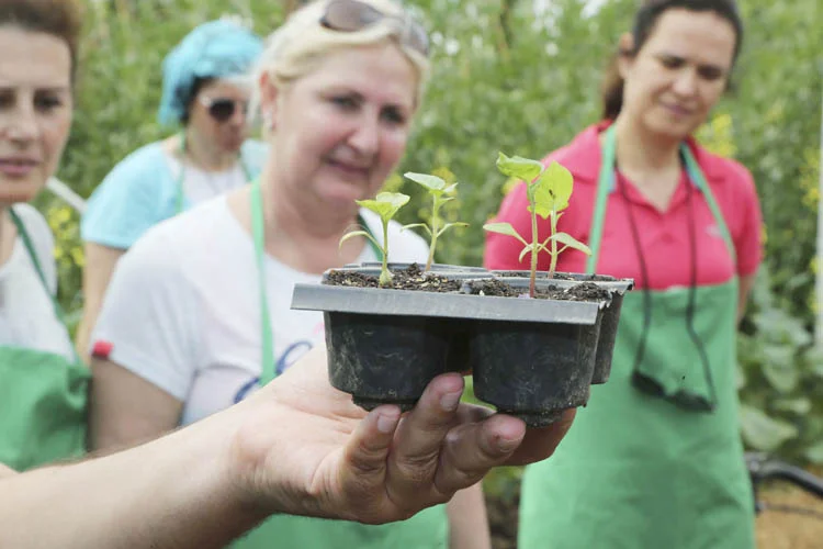 İSMEK Gümüşsuyu Bahçe Bakımı sınıfı öğrencisi Telat Bayık tarafından elde
