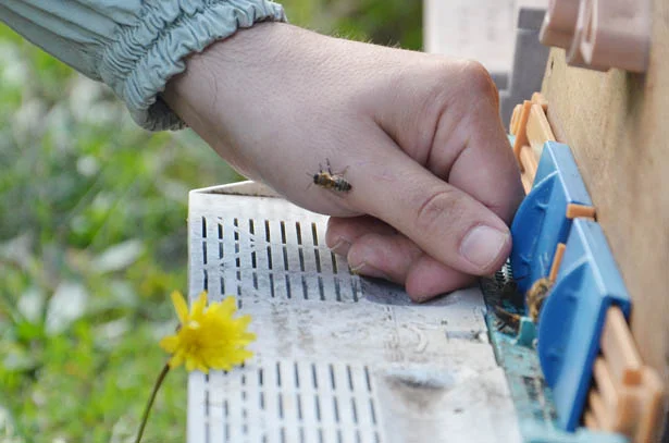 beykozbalu Vb0qo8DHz3