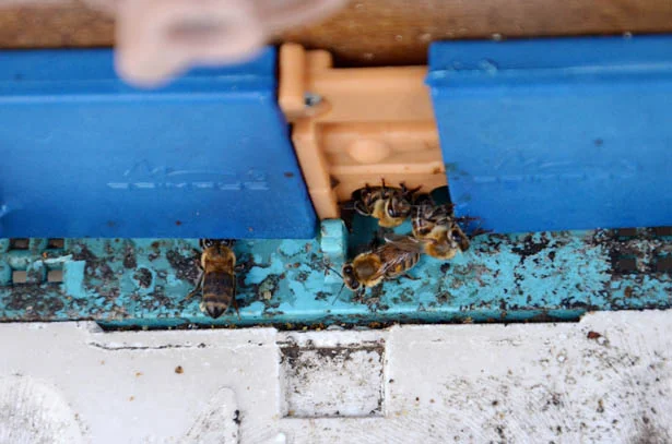 beykozbalurdb3 GFHdiRAqhl