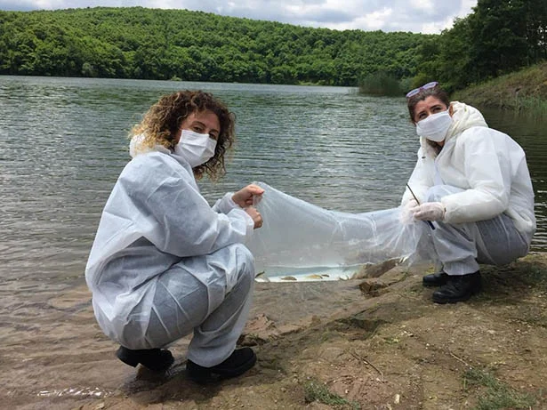 İstanbul İl Tarım ve Orman Müdürlüğünce, Beykoz’daki göletlerde 5 bin