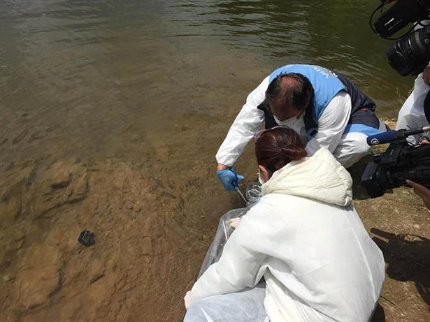 Beykoz’da göletlere 5 bin yavru sazan bırakıldı 1 beykozdagoletleresazanbirakildi3 BPypNNrgWo
