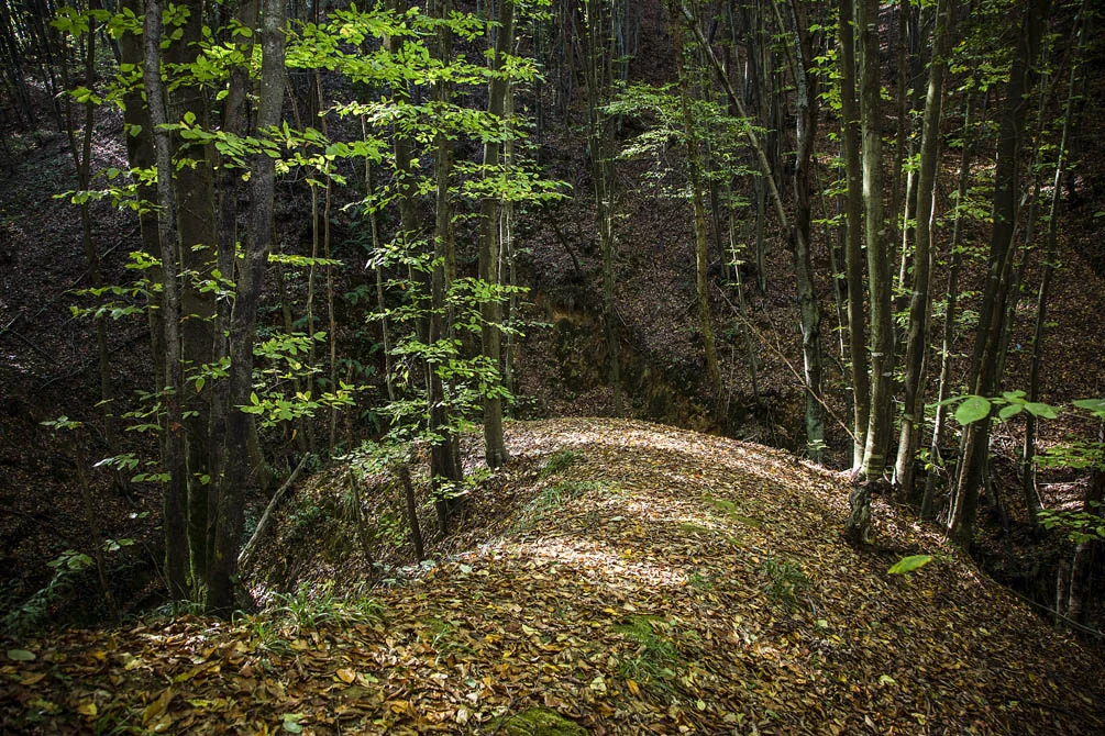 Beykoz'da bulunan Polonezköy Tabiat Parkı, sonbaharda renkli bitki örtüsü ve