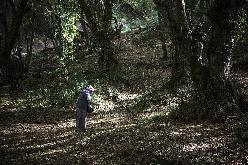 Beykoz'da sonbahar büyülüyor 1 beykozdasonbahar gXEBsJ7HL7