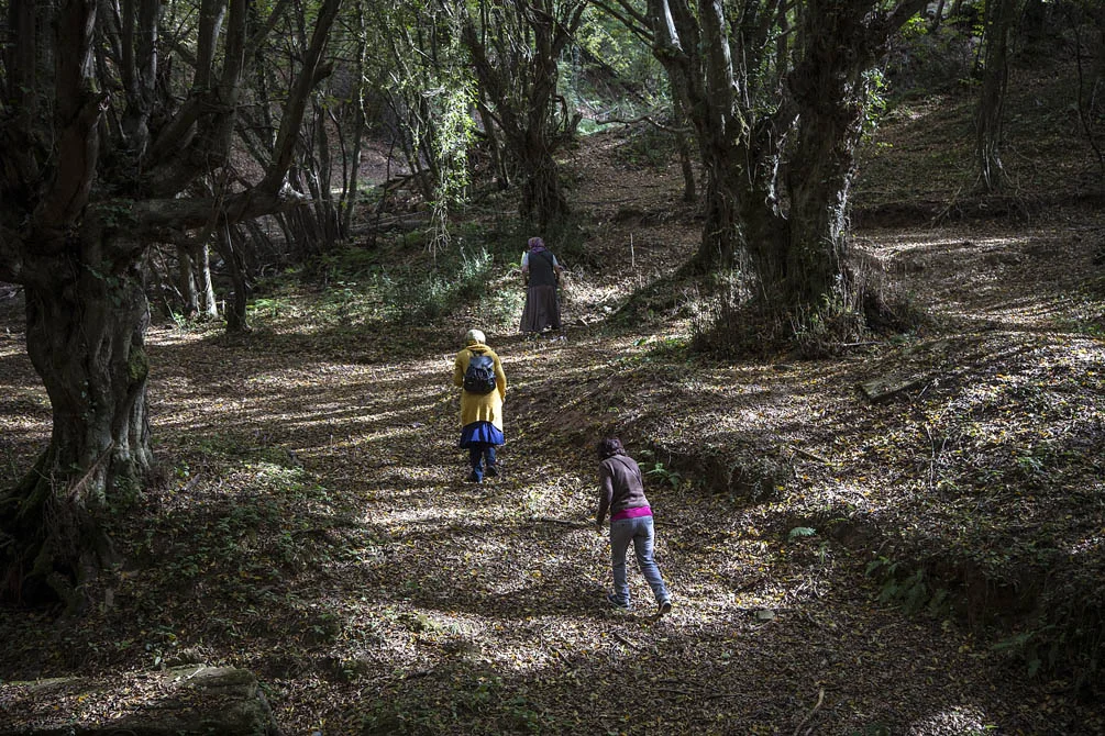 Beykoz, sonbaharda renkli bitki örtüsü ve doğal güzellikleriyle fotoğraf sanatçıları