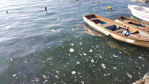 Beykoz Balıkçı Barınağı bölgesinde yoğunlukta olan denizanaları mavi suyu beyaza