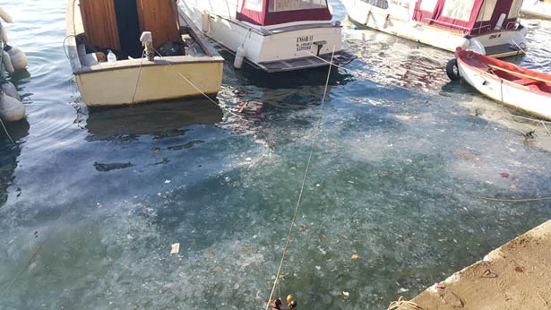 Beykoz Sahilinde deniz beyaza büründü 2 beykozdenizbeyazdb3 TD