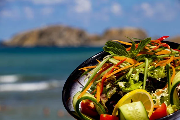 Beykoz'un tabiat parkında kış sezonu 1