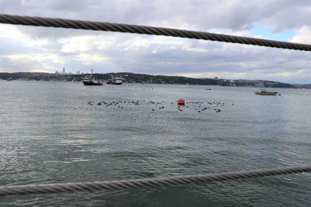 Beykoz Sahilinde 2. etap yeşil alan ve çevre düzenleme çalışmaları