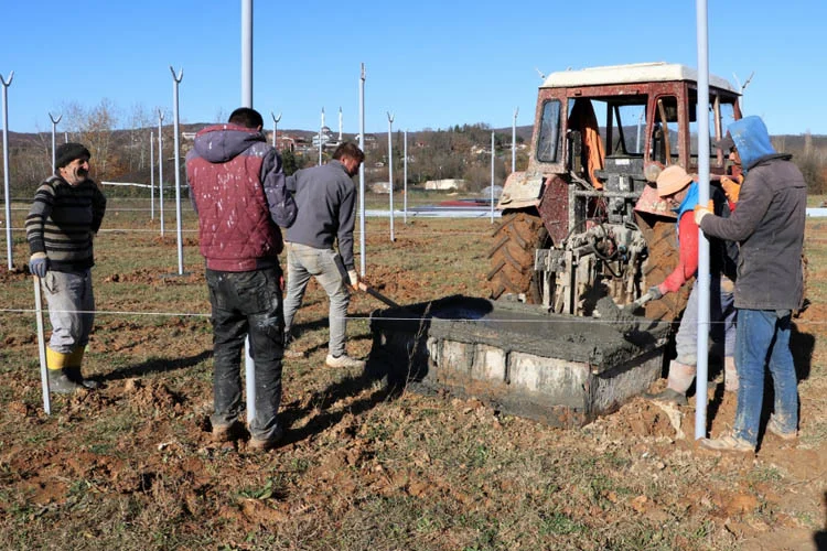 Çiftçinin ve üretimin desteklenmesi için Beykoz Belediyesi tohum ve fide