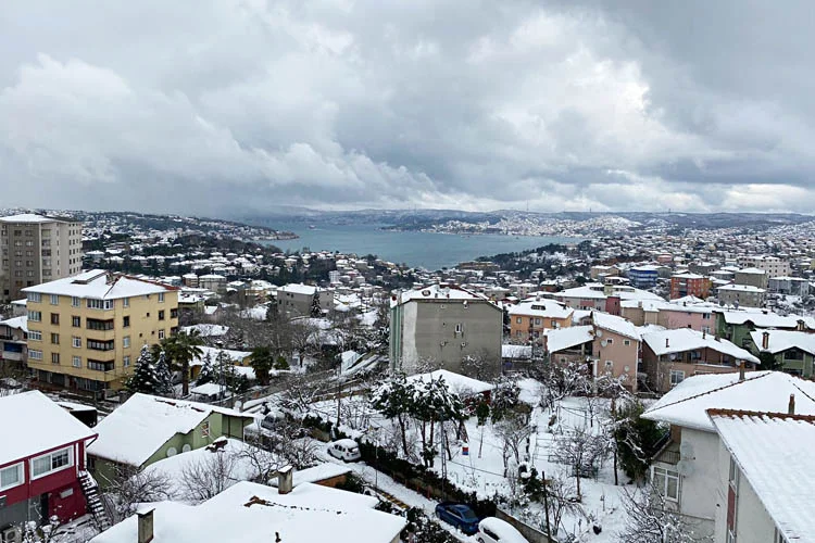 Beykoz'da 8-14 Şubat tarihleri arasında meydana gelen olayları, Dost Beykoz