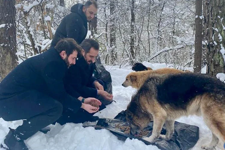 Beykoz'da kış aylarında sokak seferberliği 1 beykozhayvansokakdb2 avLOE3kO92