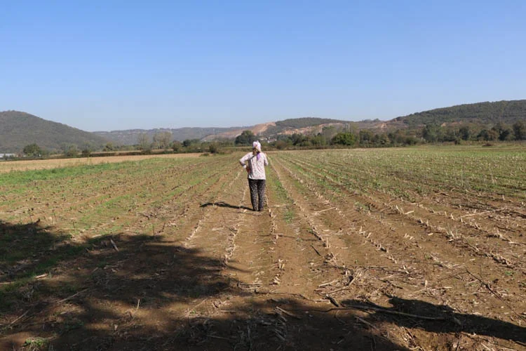 beykozkadta QjRxePpP Q