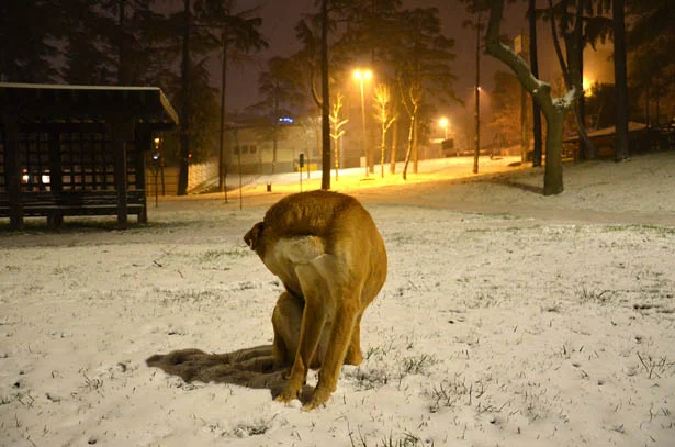 beykozkaretkilidb5 JUG AG1CTX